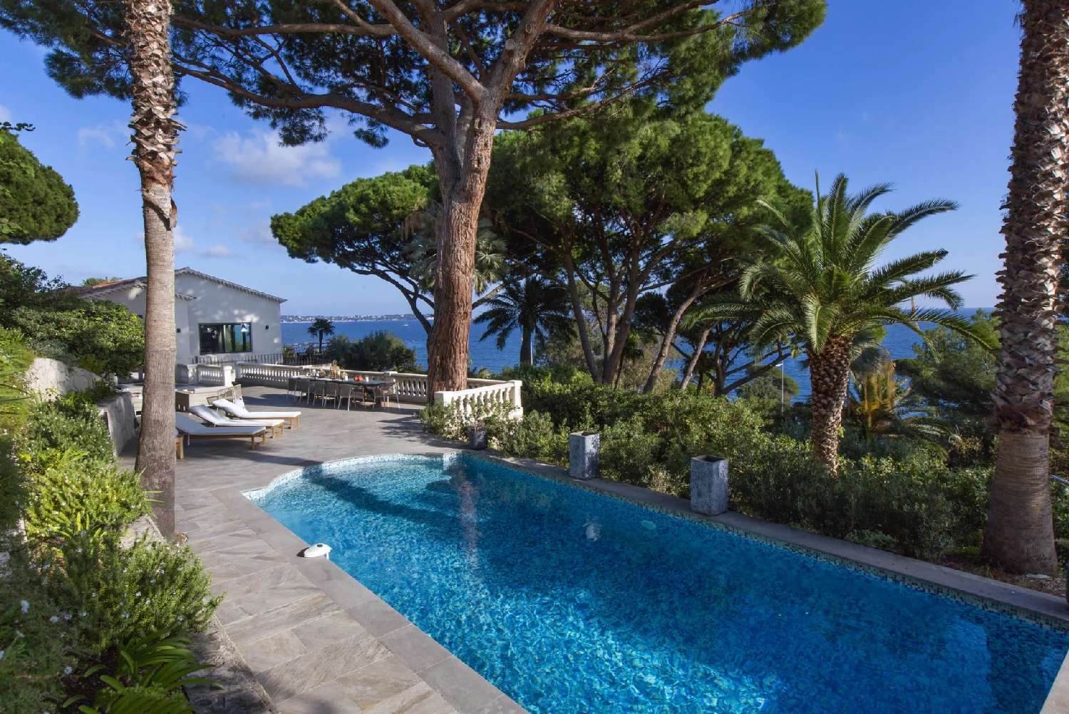kaufen Villa Cannes Alpes-Maritimes 2