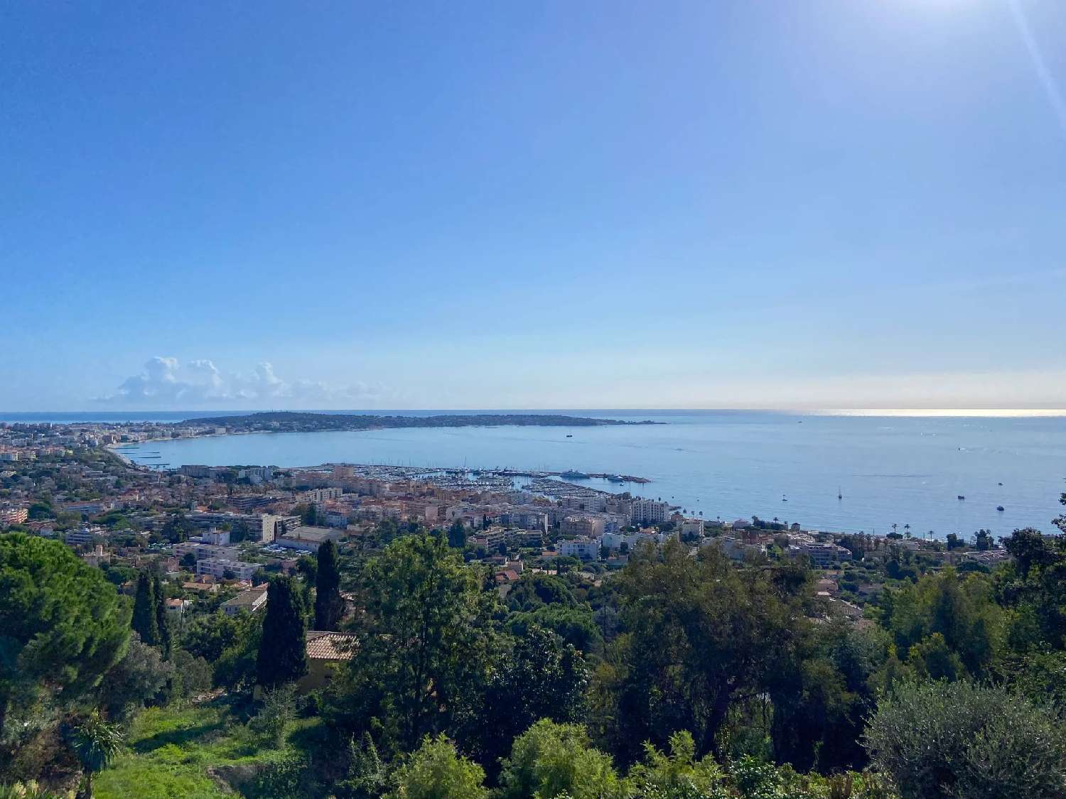  te koop villa Cannes Alpes-Maritimes 3