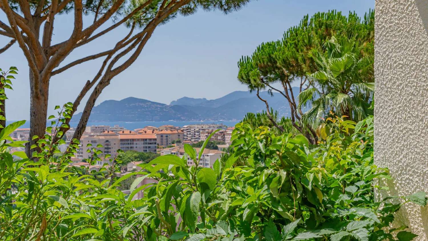  en venta villa Cannes Alpes-Maritimes 2