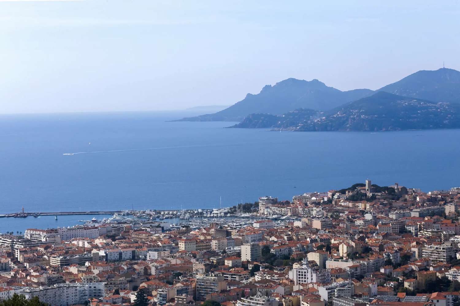  en venta villa Cannes Alpes-Maritimes 2