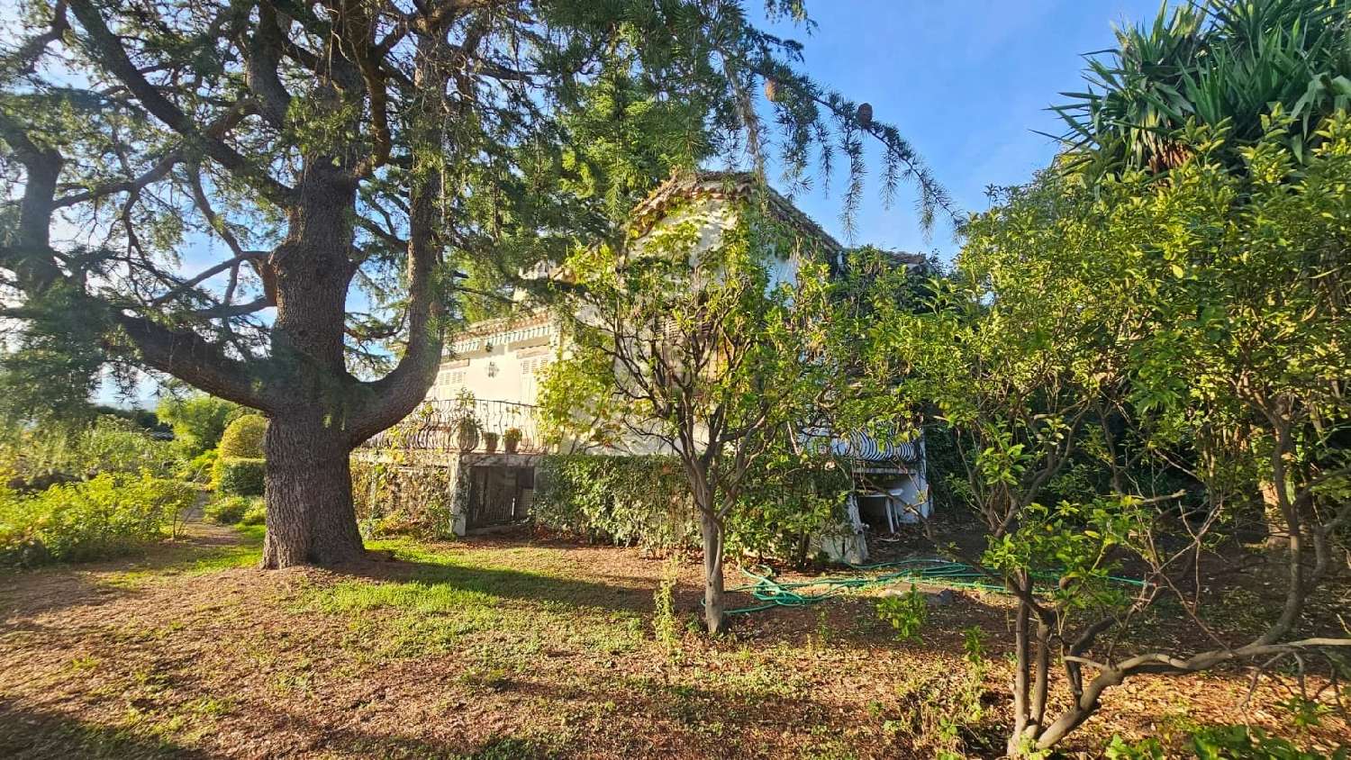  à vendre villa Cannes Alpes-Maritimes 7