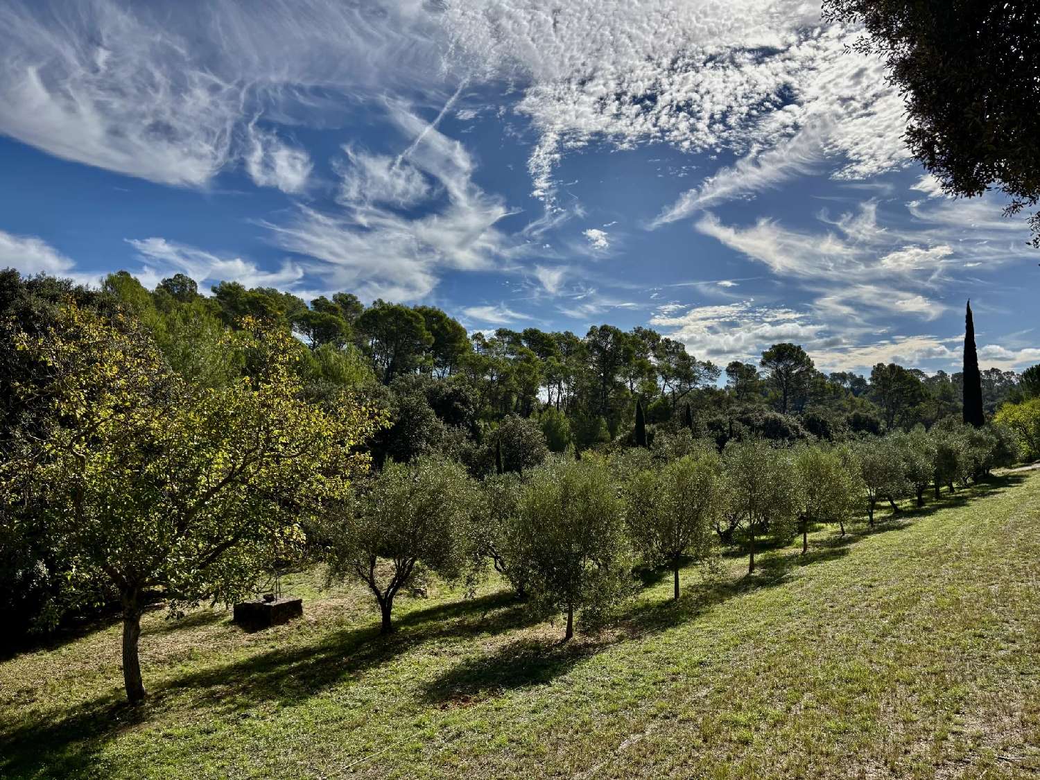  à vendre villa Carcès Var 5