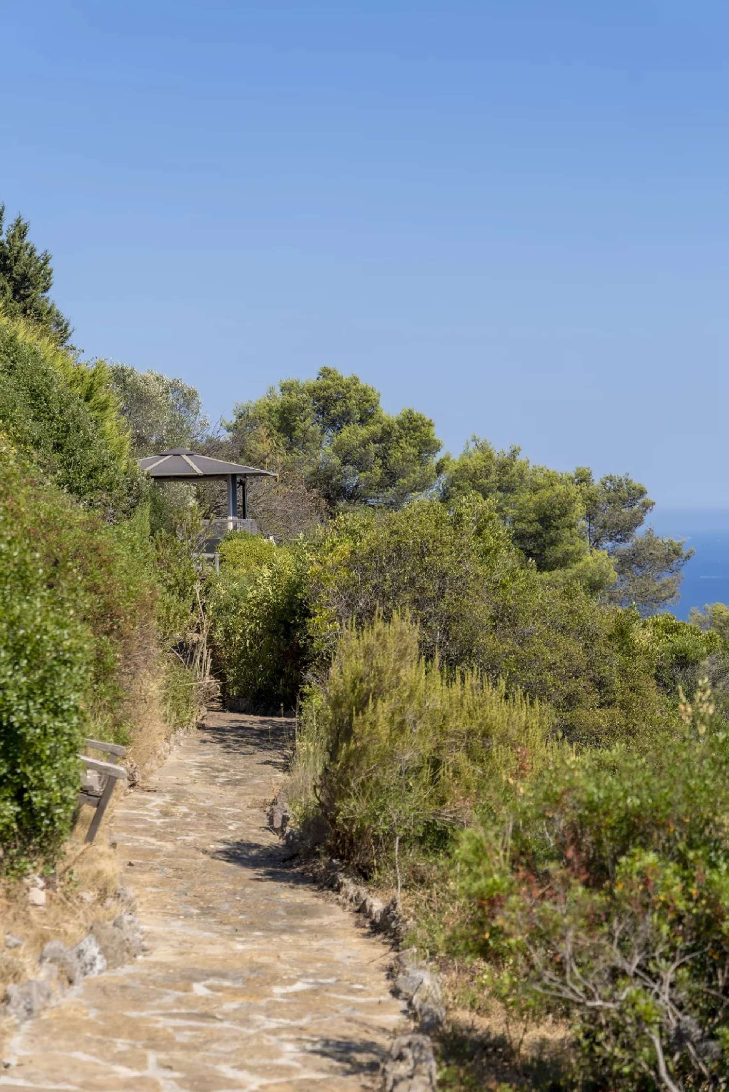  for sale villa Carqueiranne Var 6