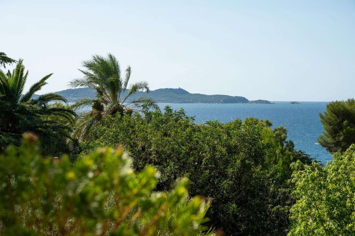  for sale villa Carqueiranne Var 1