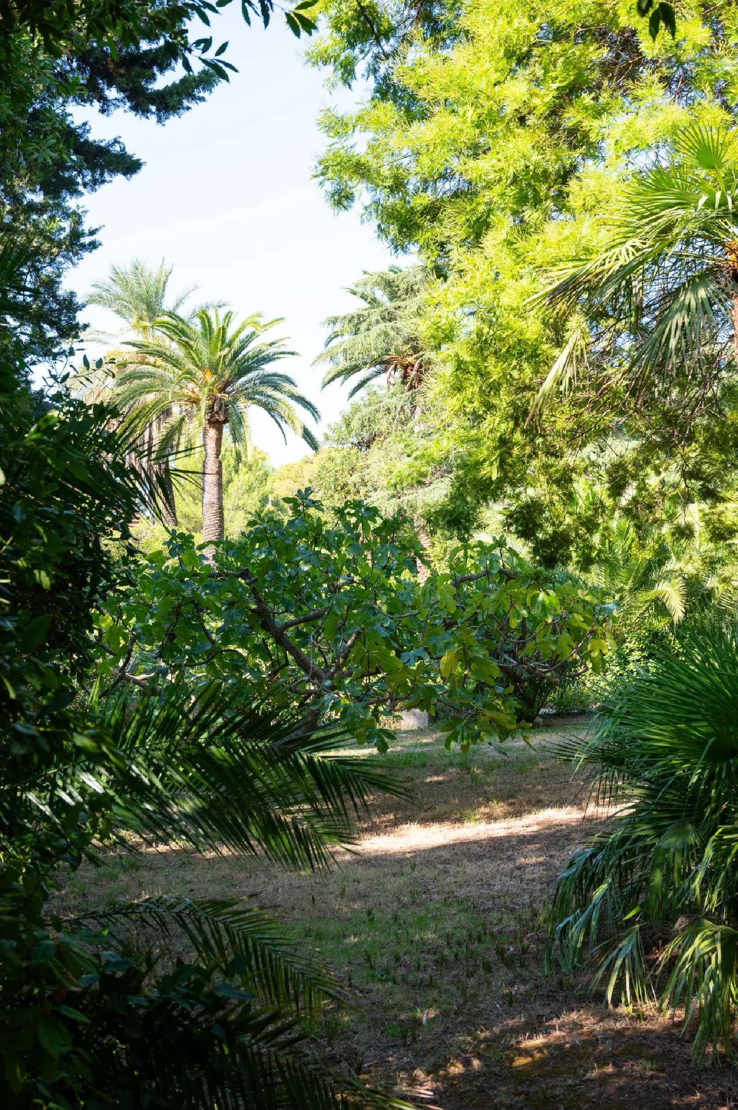  for sale villa Carqueiranne Var 5