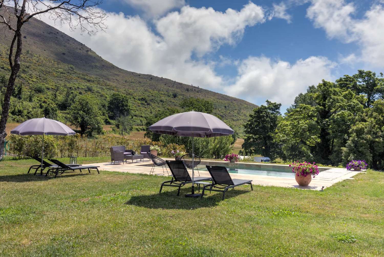  en venta villa Coursegoules Alpes-Maritimes 6