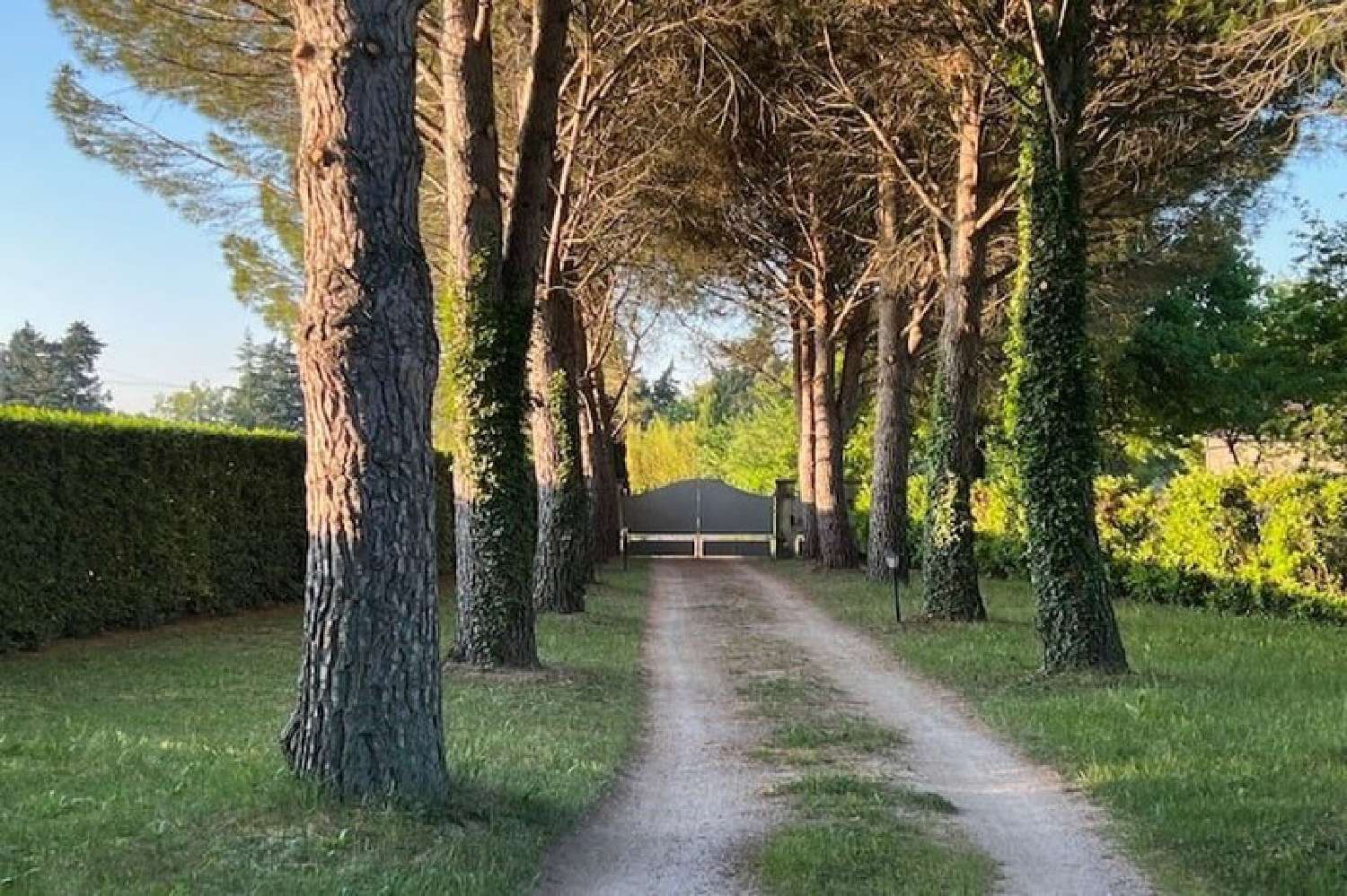 en venta villa Courthézon Vaucluse 8