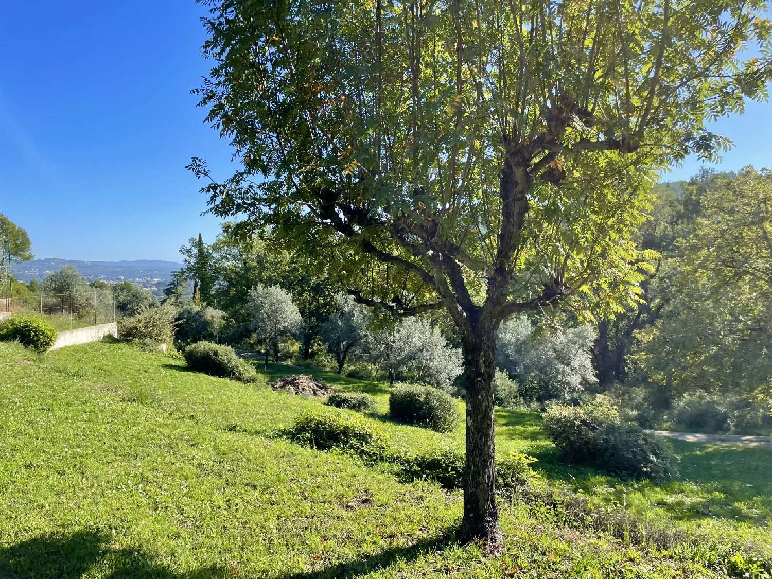 kaufen Villa Draguignan Var 4