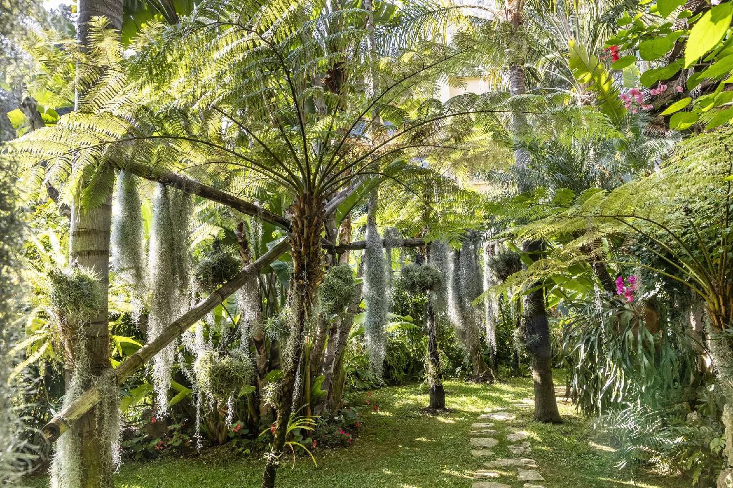  en venta villa Éze Alpes-Maritimes 6