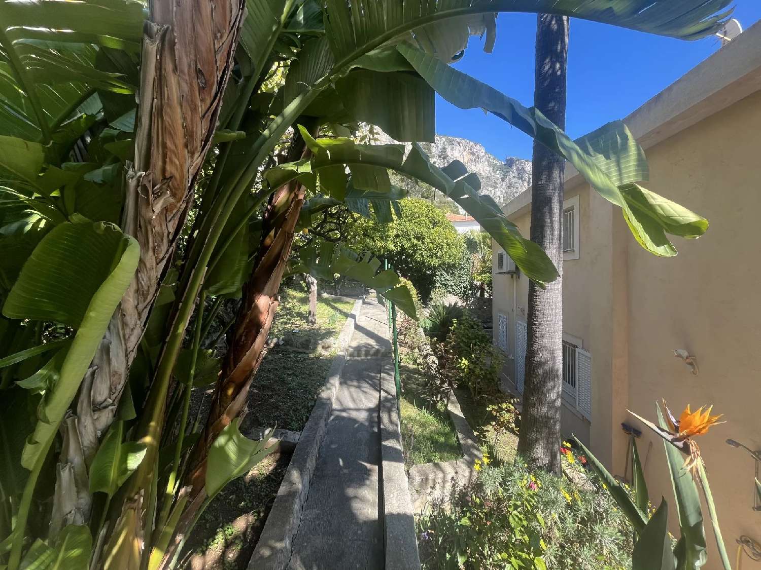  à vendre villa Éze Alpes-Maritimes 3