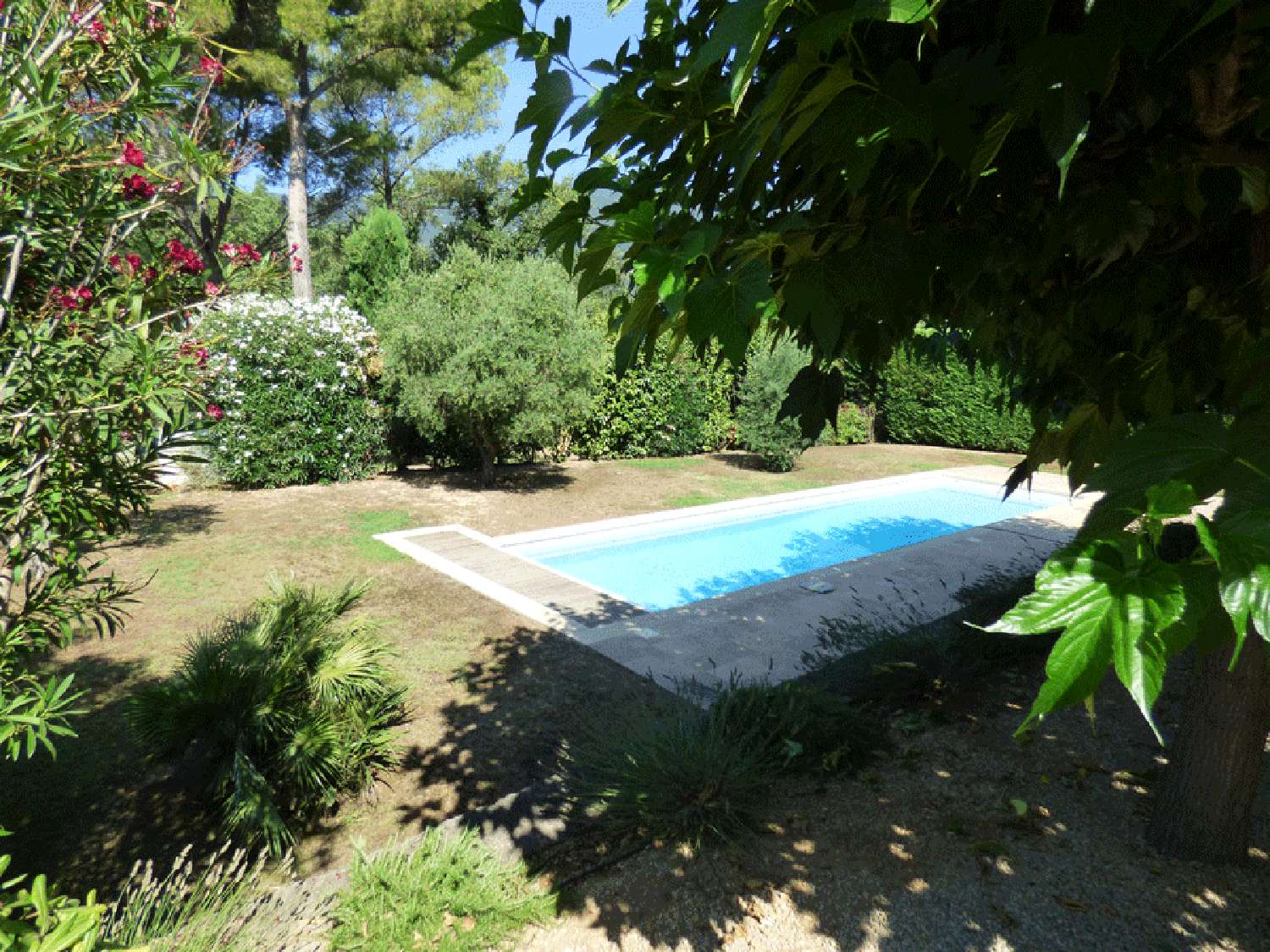  en venta villa Fayence Var 3