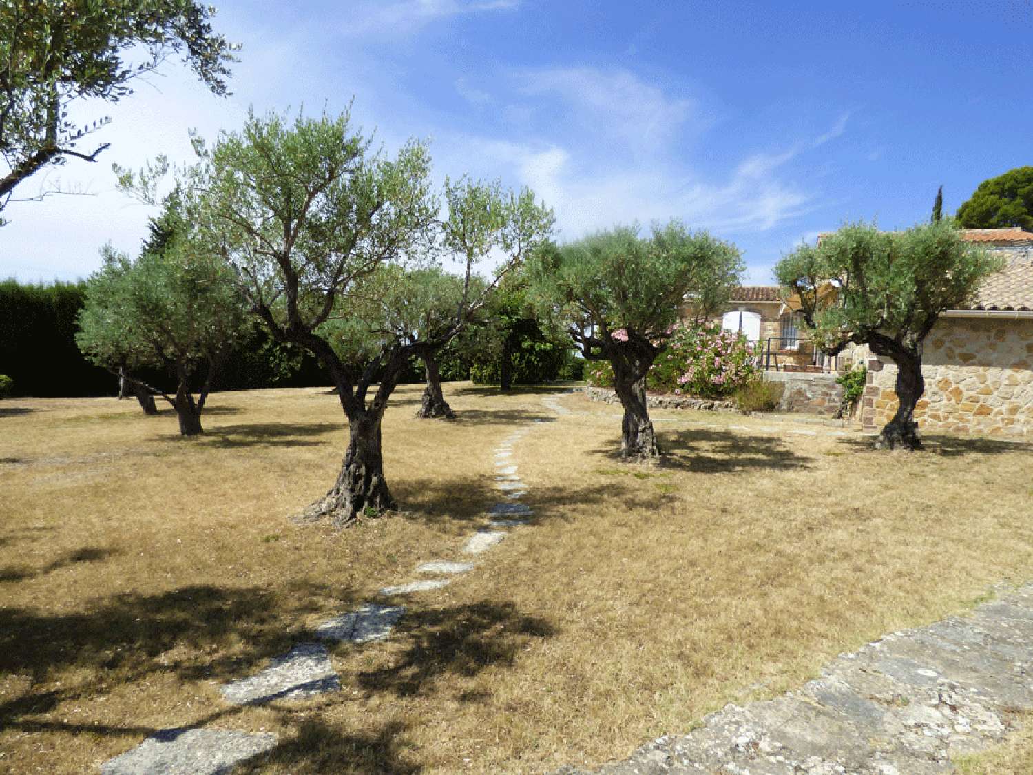  en venta villa Fayence Var 4