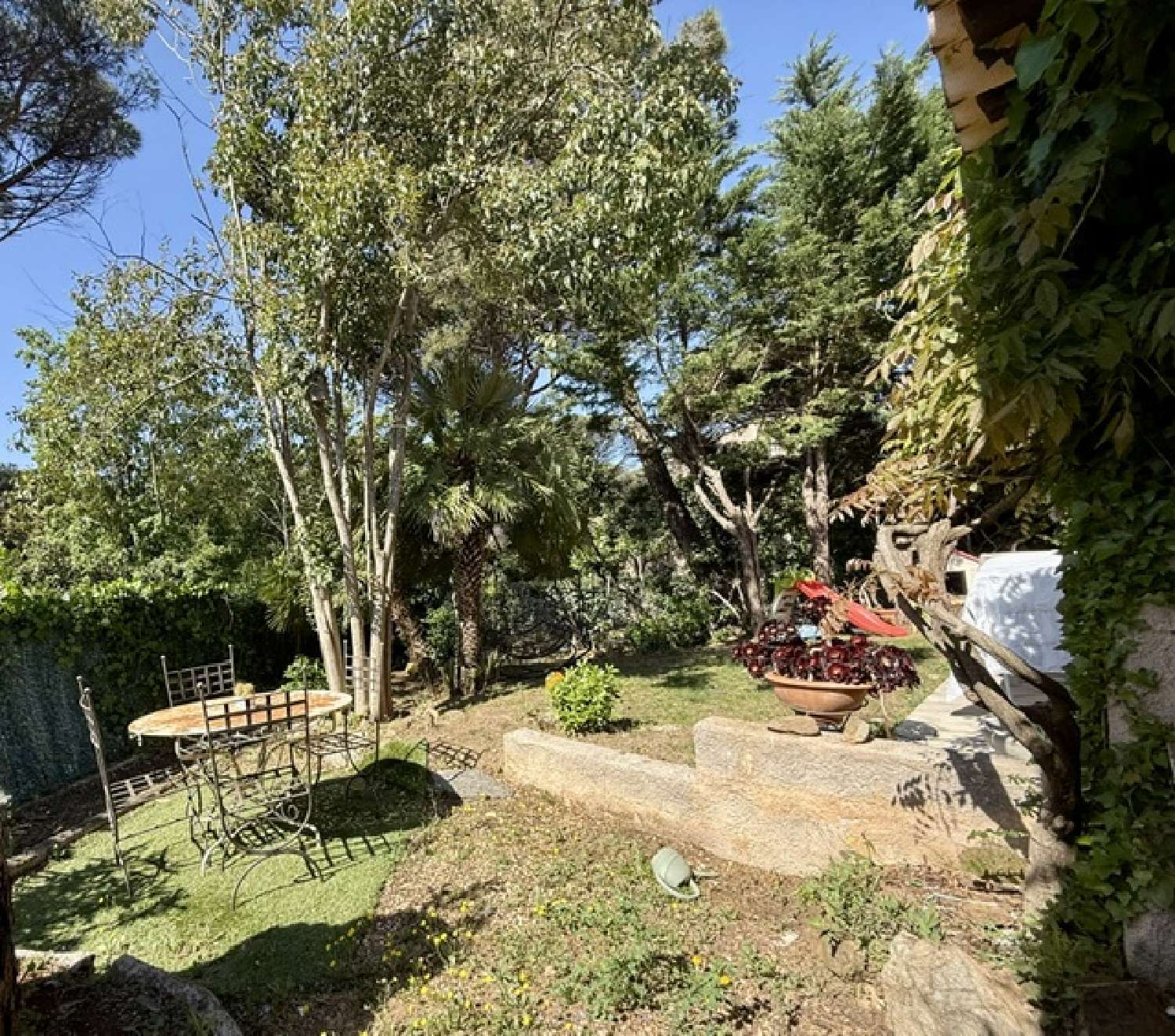  for sale villa Gassin Var 5