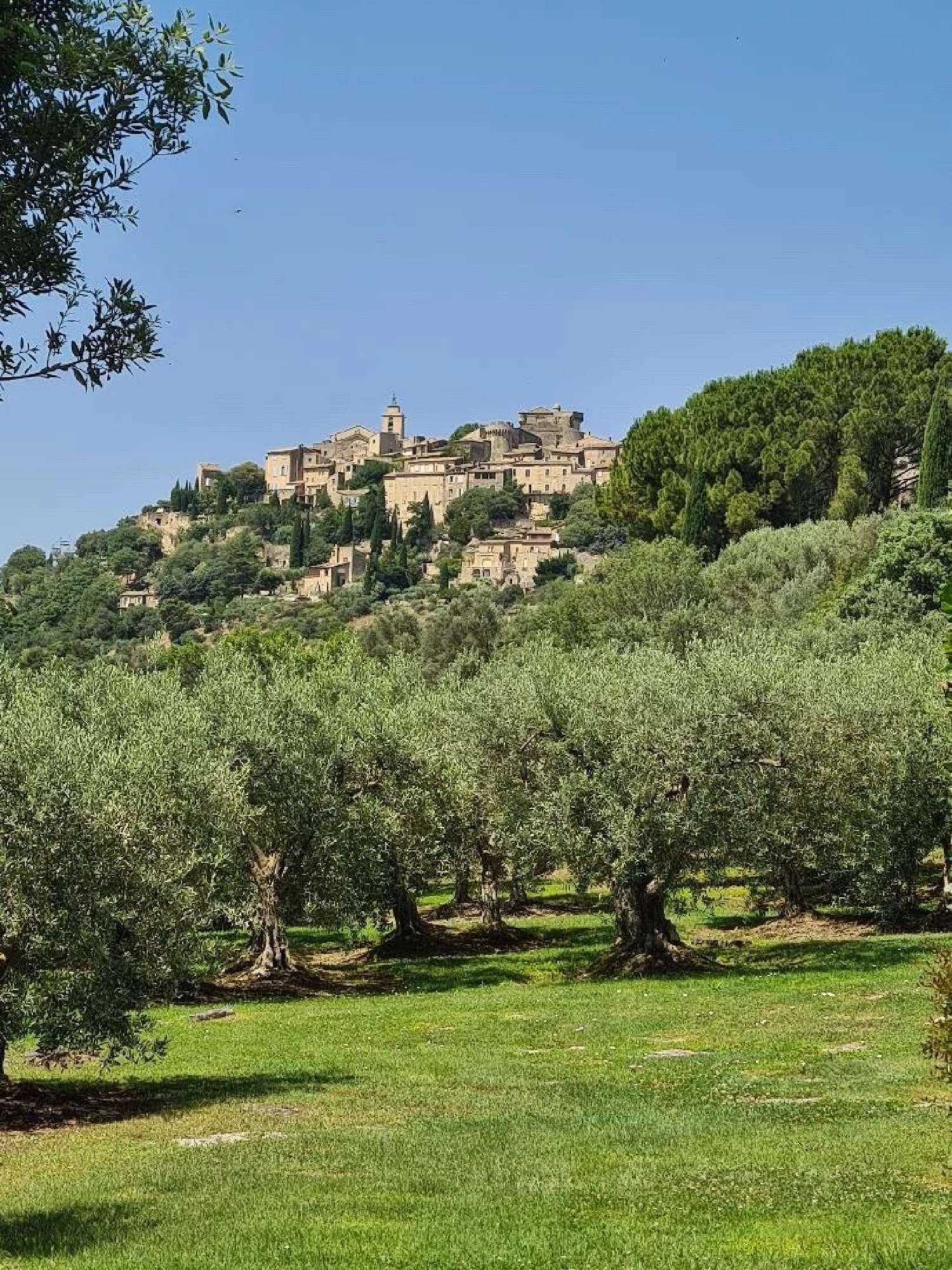  te koop villa Gordes Vaucluse 7