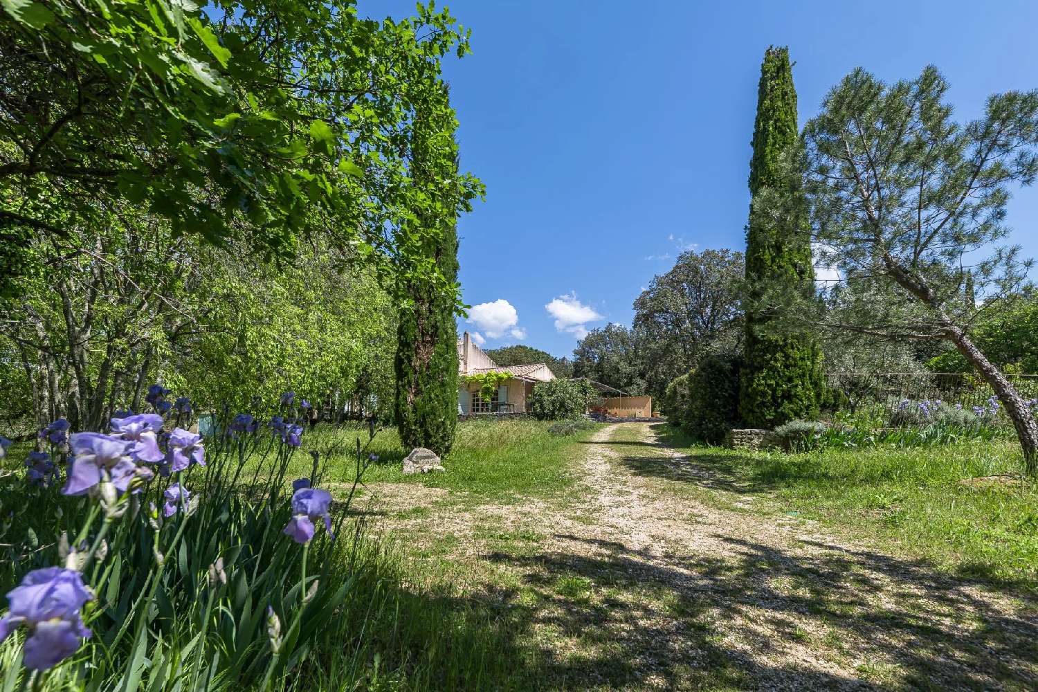  for sale villa Gordes Vaucluse 5