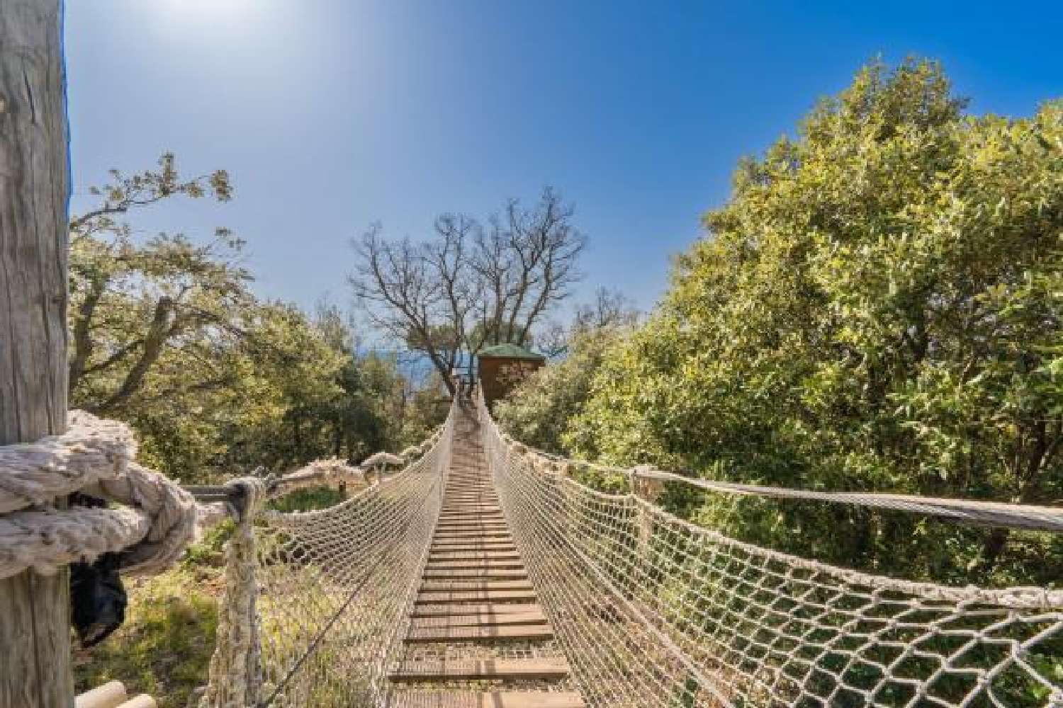  en venta villa Grasse Alpes-Maritimes 4