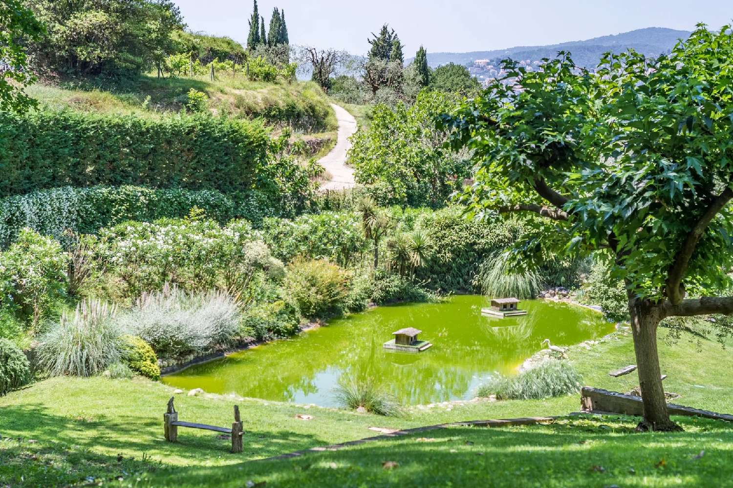  en venta villa Grasse Alpes-Maritimes 4