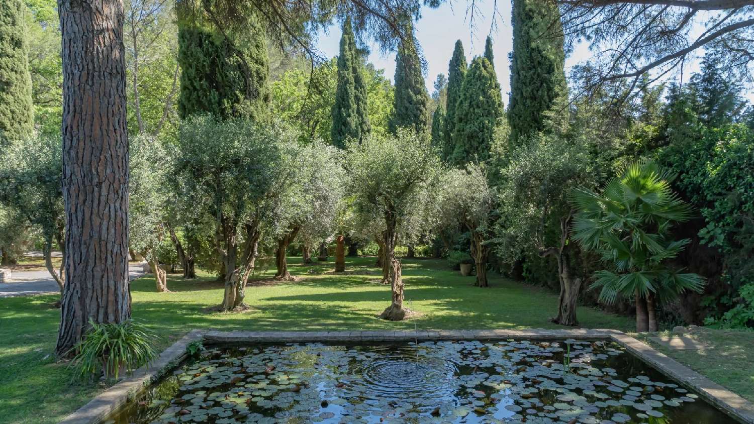  kaufen Villa Grasse Alpes-Maritimes 6