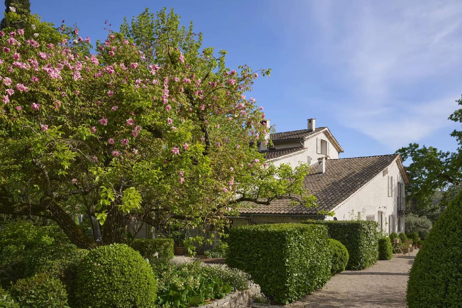  kaufen Villa Grasse Alpes-Maritimes 6