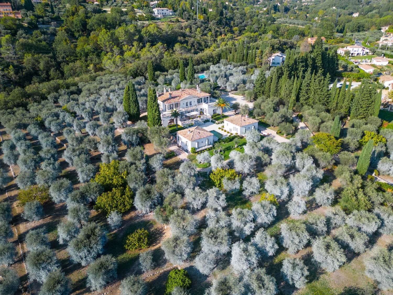  kaufen Villa Grasse Alpes-Maritimes 2