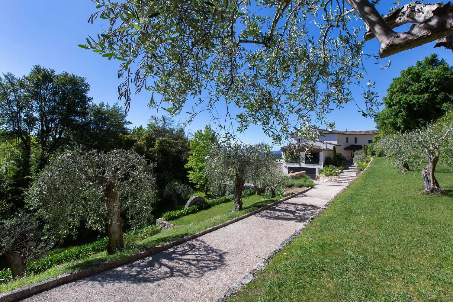  kaufen Villa Grasse Alpes-Maritimes 5