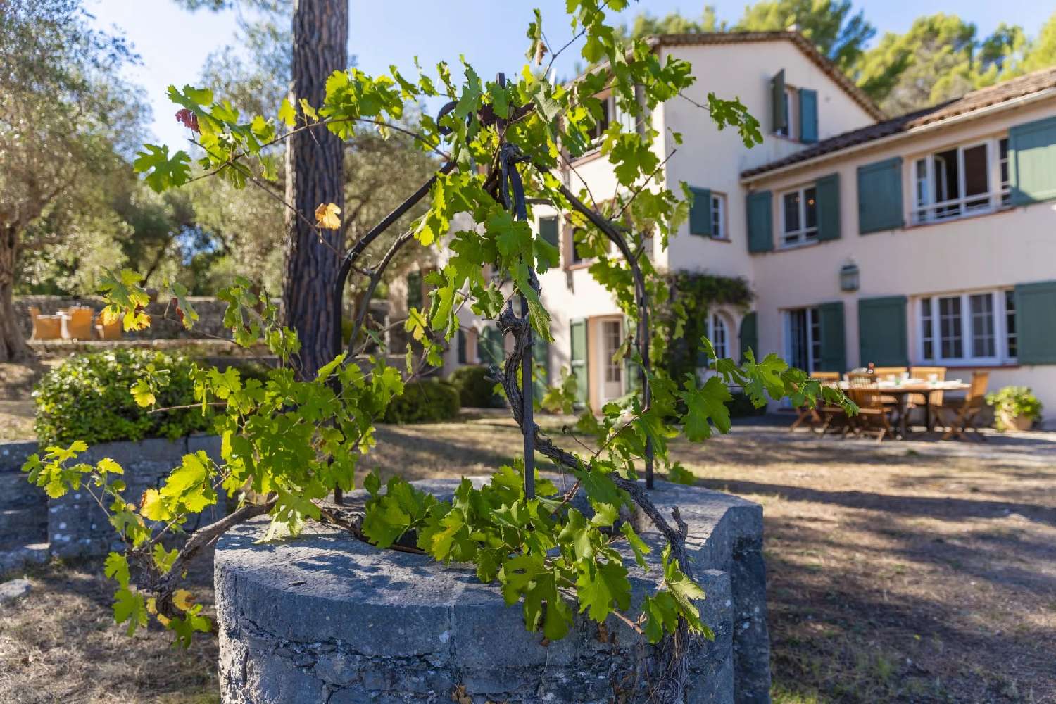  te koop villa Grasse Alpes-Maritimes 7