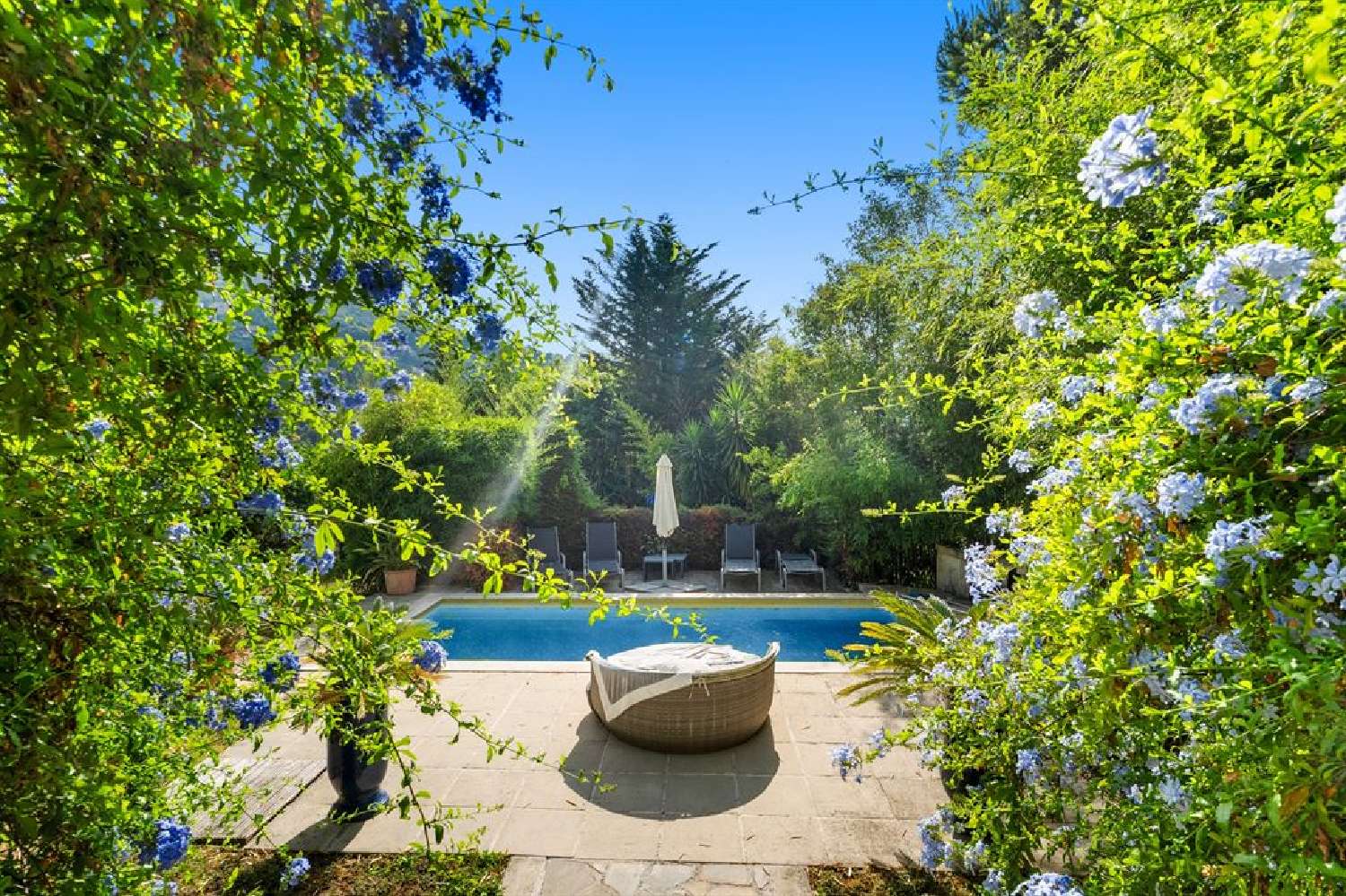 en venta villa Grasse Alpes-Maritimes 8