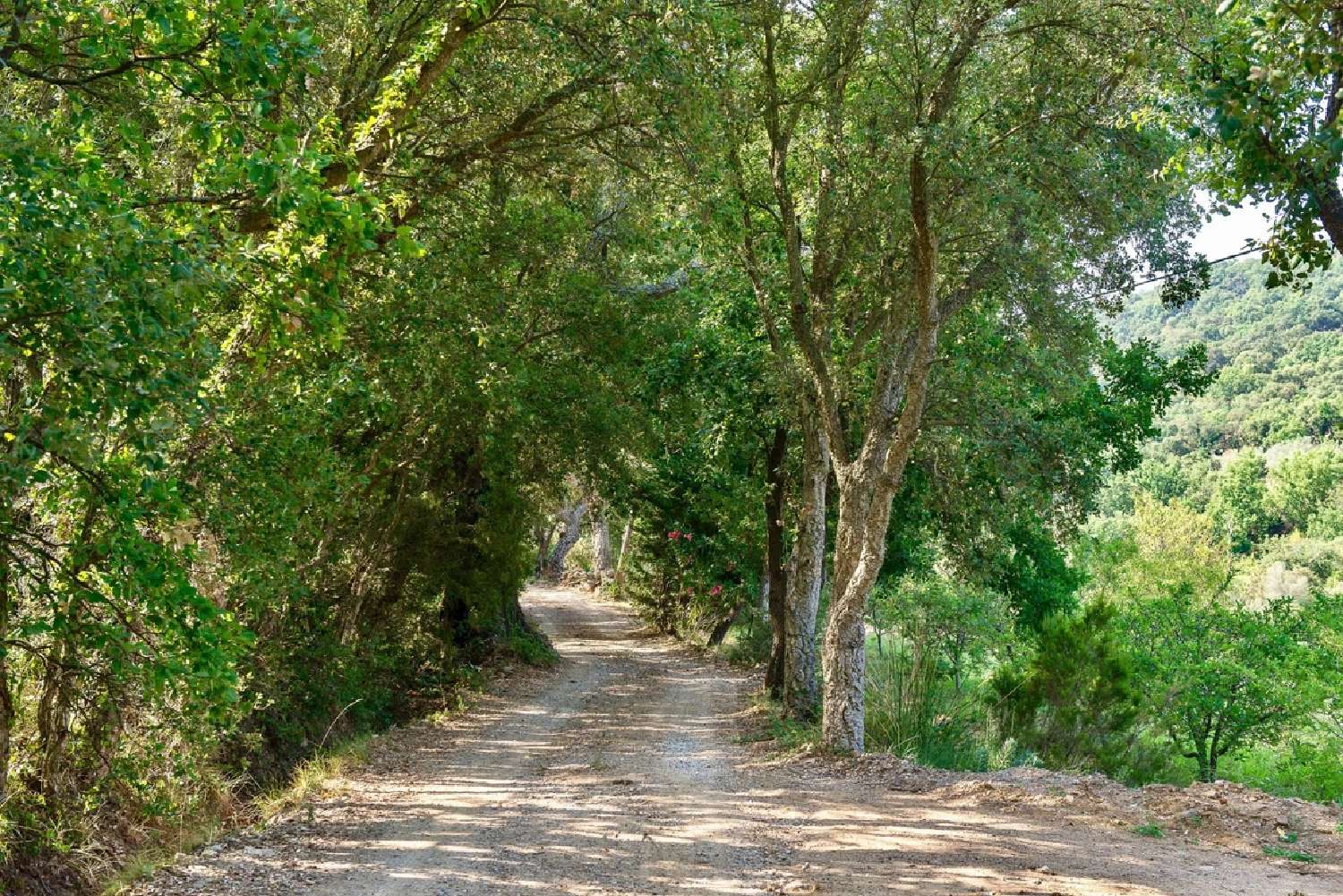 te koop villa Grimaud Var 5