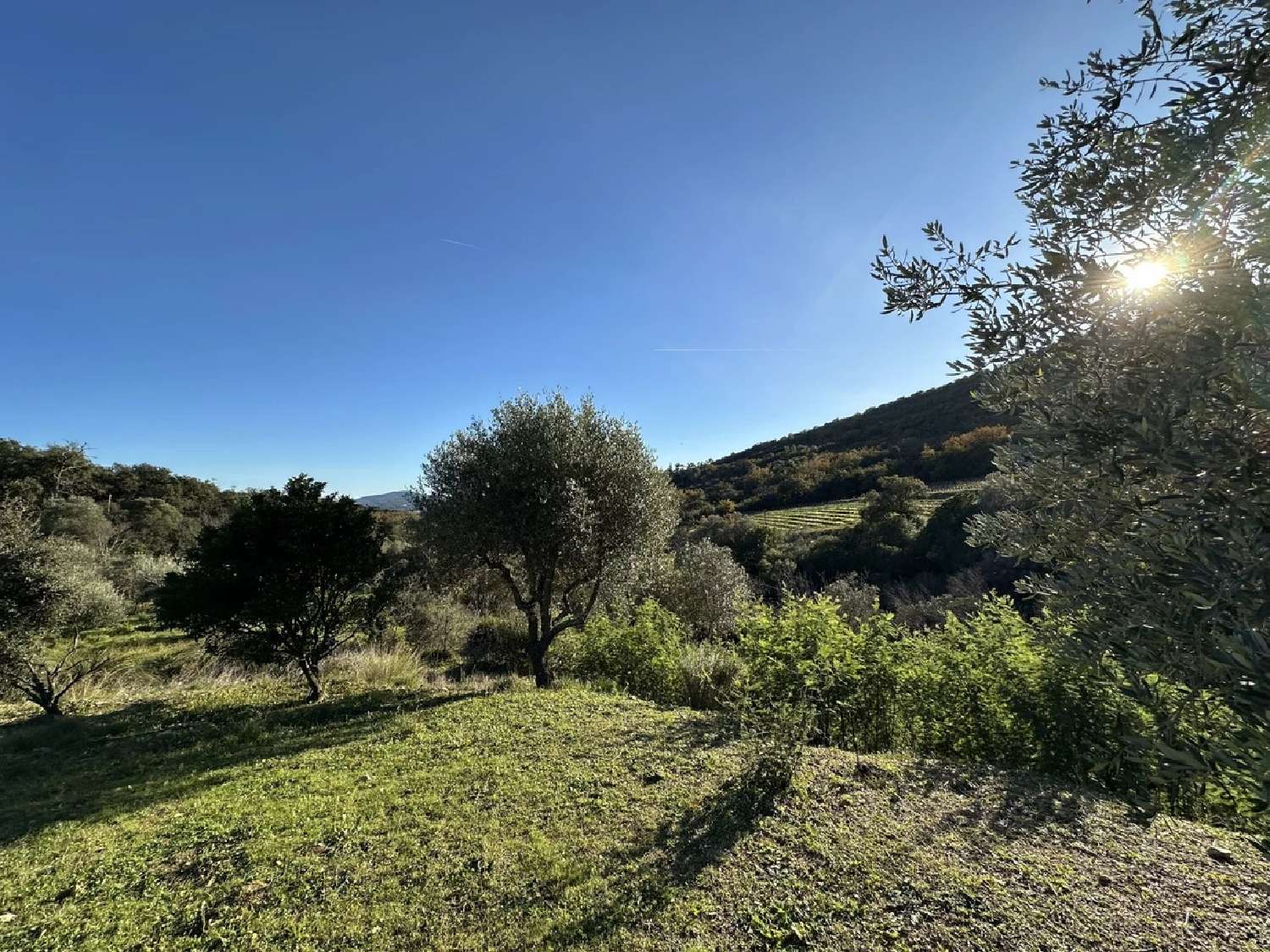 te koop villa Grimaud Var 6