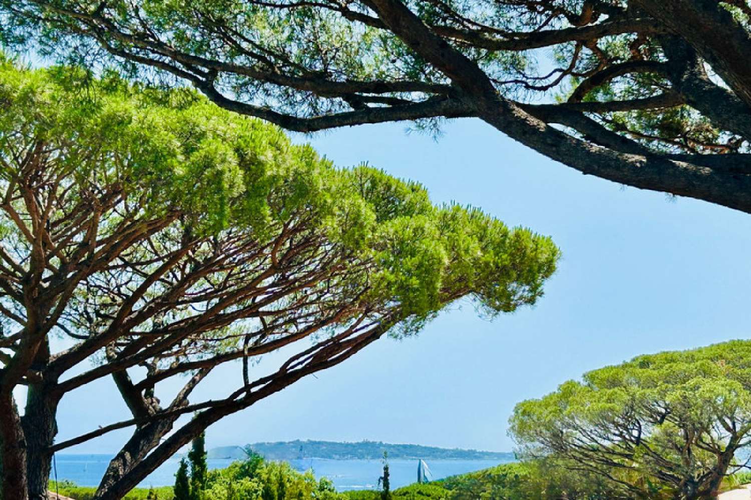 te koop villa Grimaud Var 2