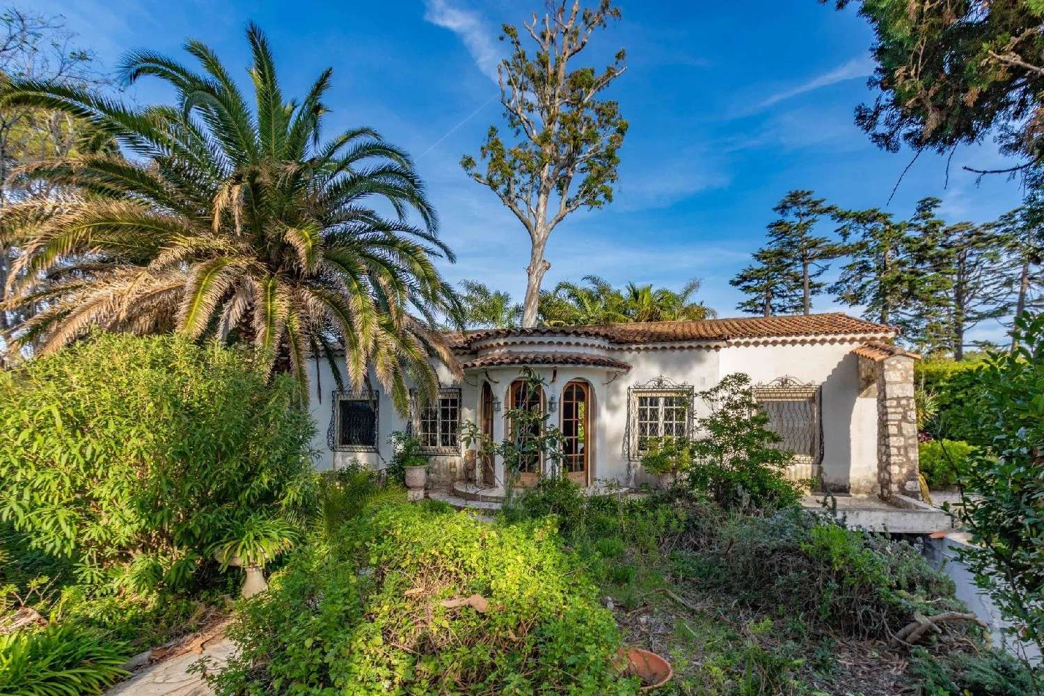 te koop villa Juan-les-Pins Alpes-Maritimes 2