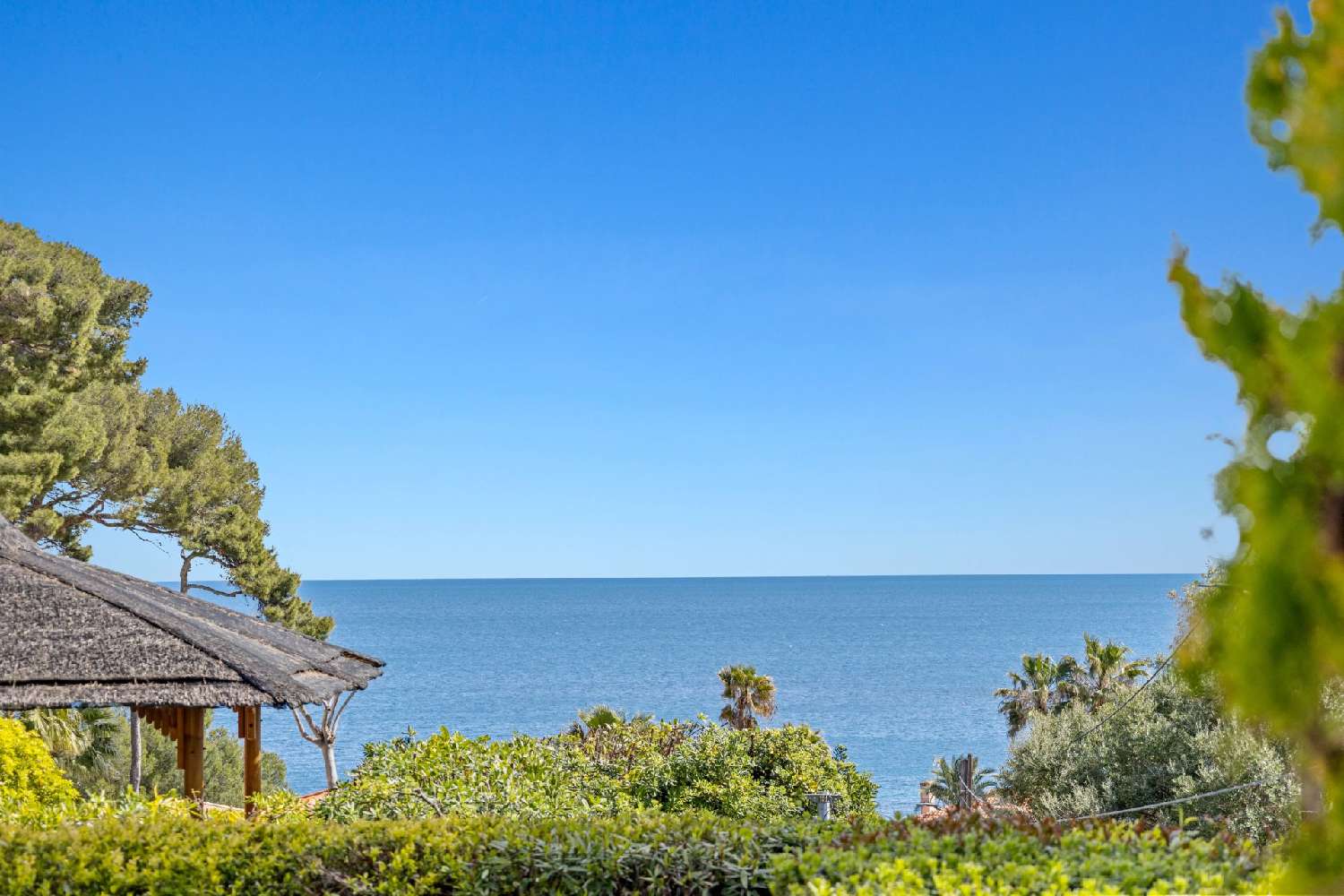 kaufen Villa Juan-les-Pins Alpes-Maritimes 6