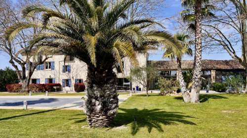 L'Isle-sur-la-Sorgue Vaucluse Villa Bild 7311132