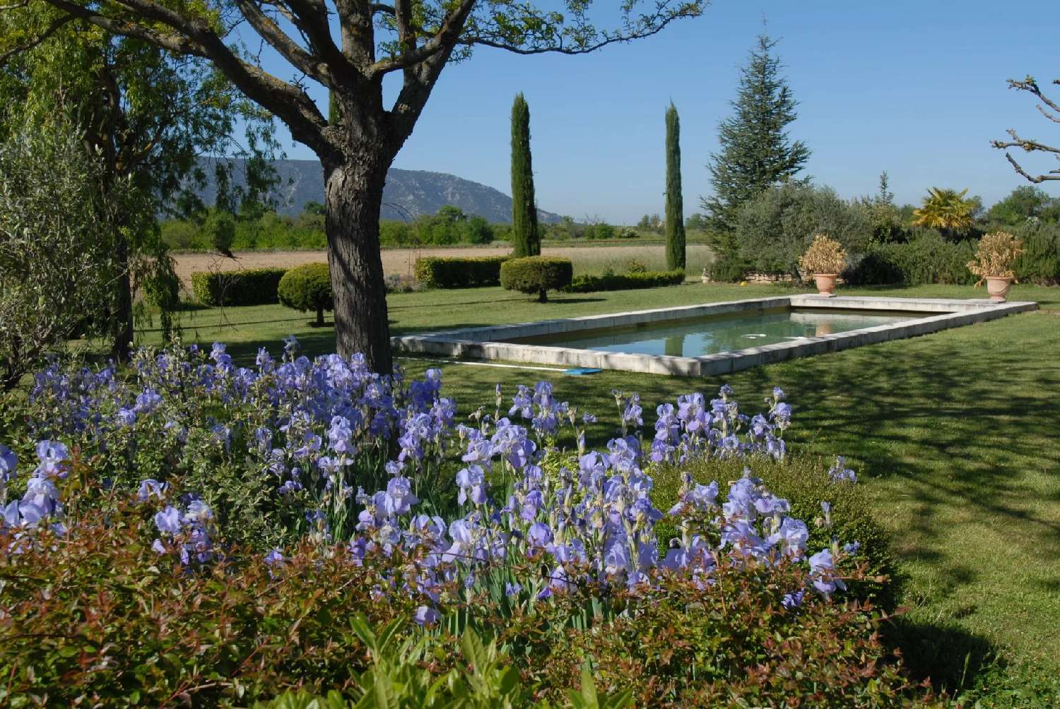  te koop villa L'Isle-sur-la-Sorgue Vaucluse 4