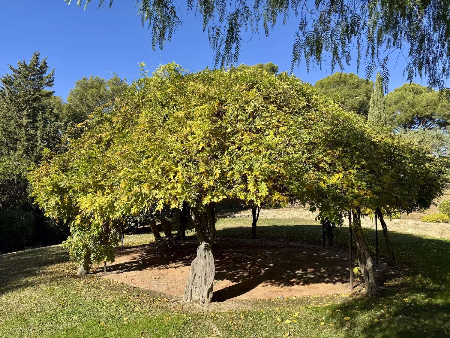  for sale villa La Cadière-d'Azur Var 4