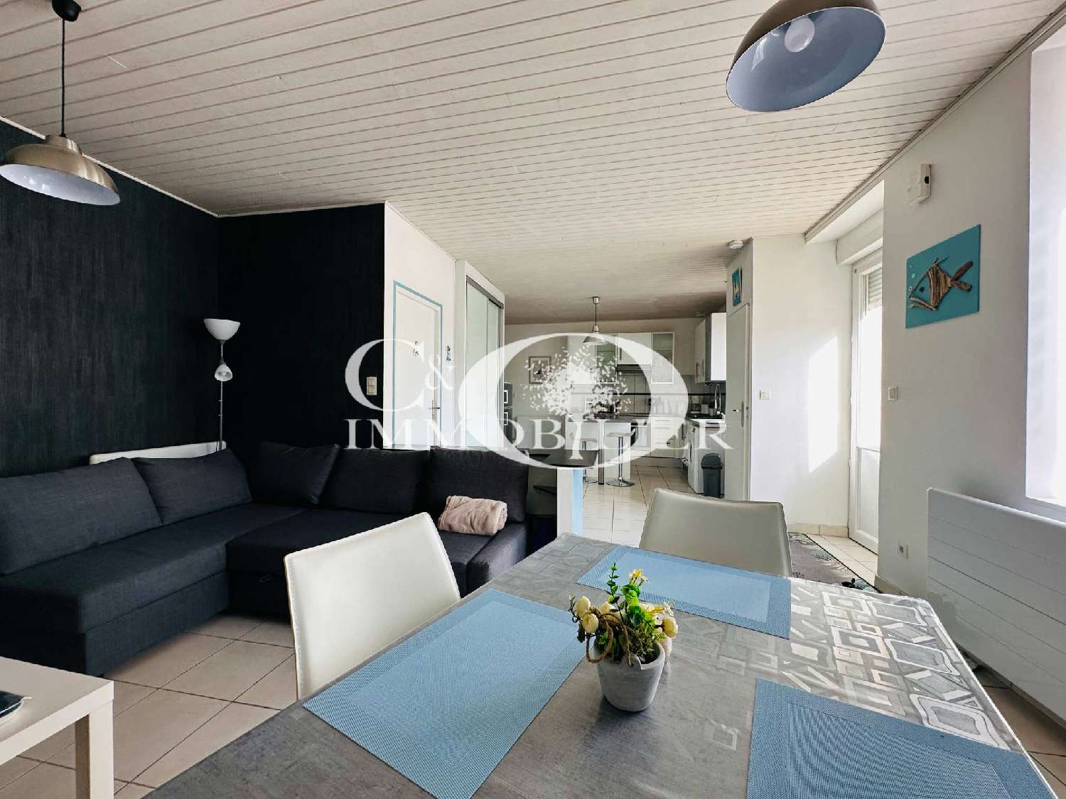  te koop villa La Chapelle-Palluau Vendée 1