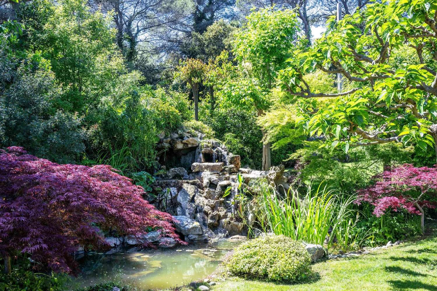 te koop villa La Colle-sur-Loup Alpes-Maritimes 2