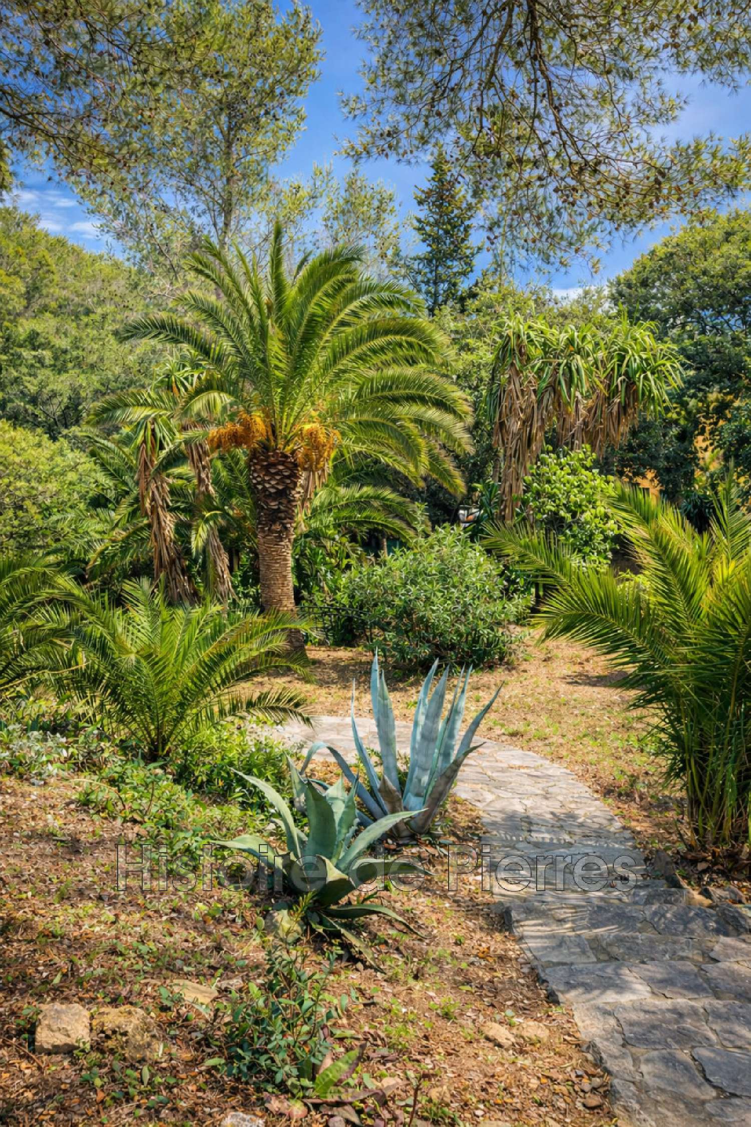  te koop villa La Croix-Valmer Var 1