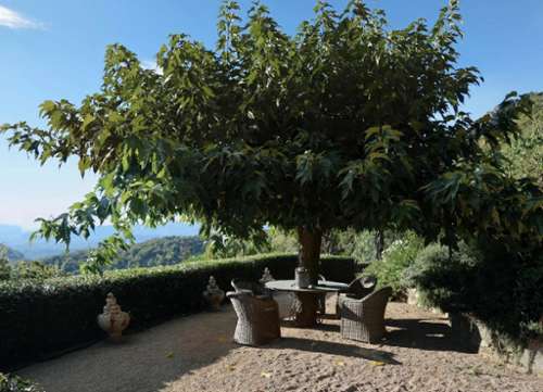 La Garde-Freinet Var villa foto 7307613