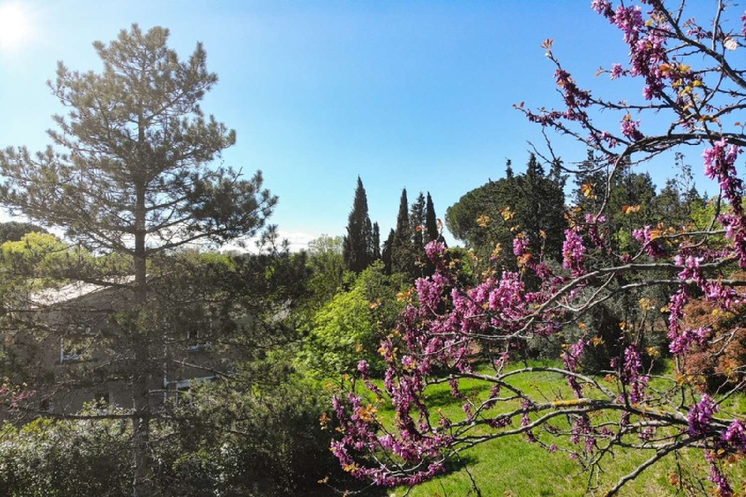  à vendre villa Le Bosc Hérault 3