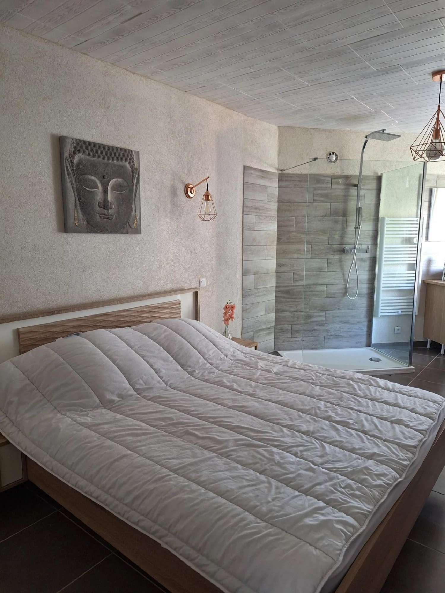  te koop villa Le Cannet-des-Maures Var 6