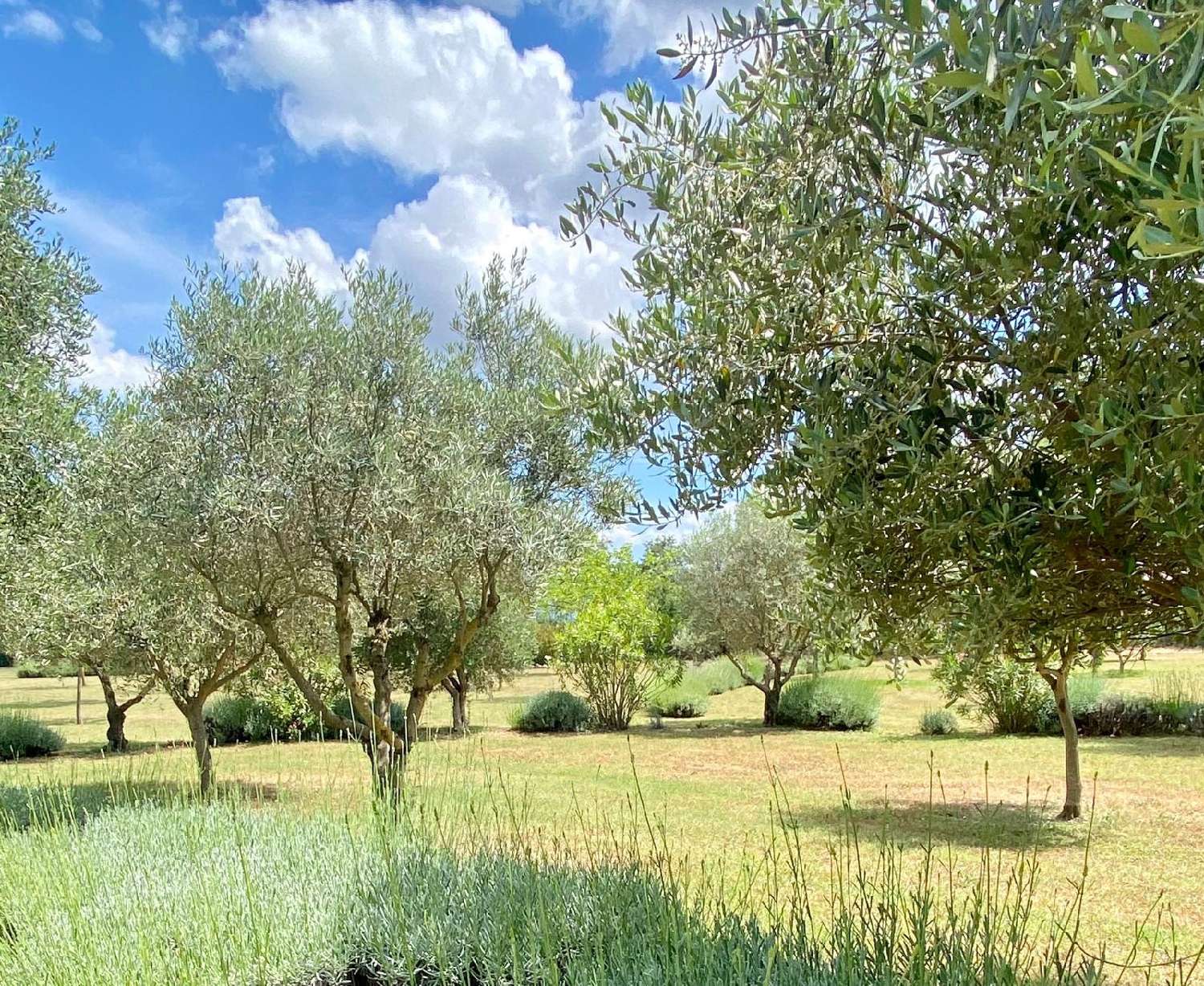  for sale villa Bandol Var 3