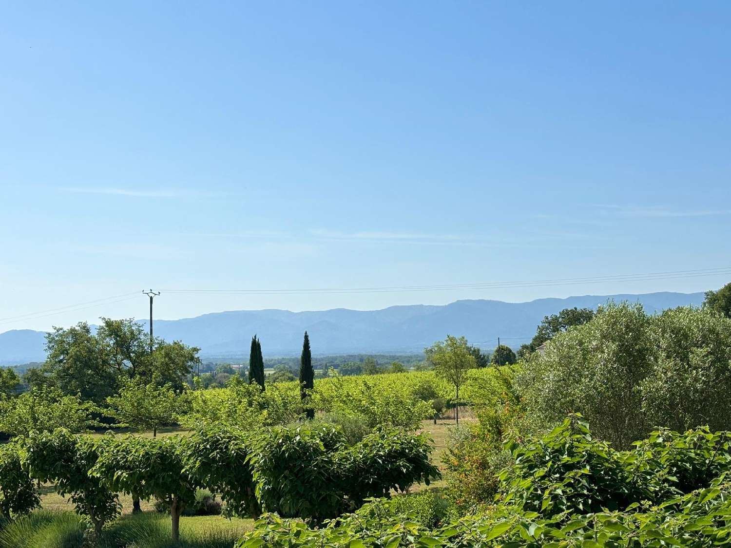  à vendre villa Le Cannet-des-Maures Var 6