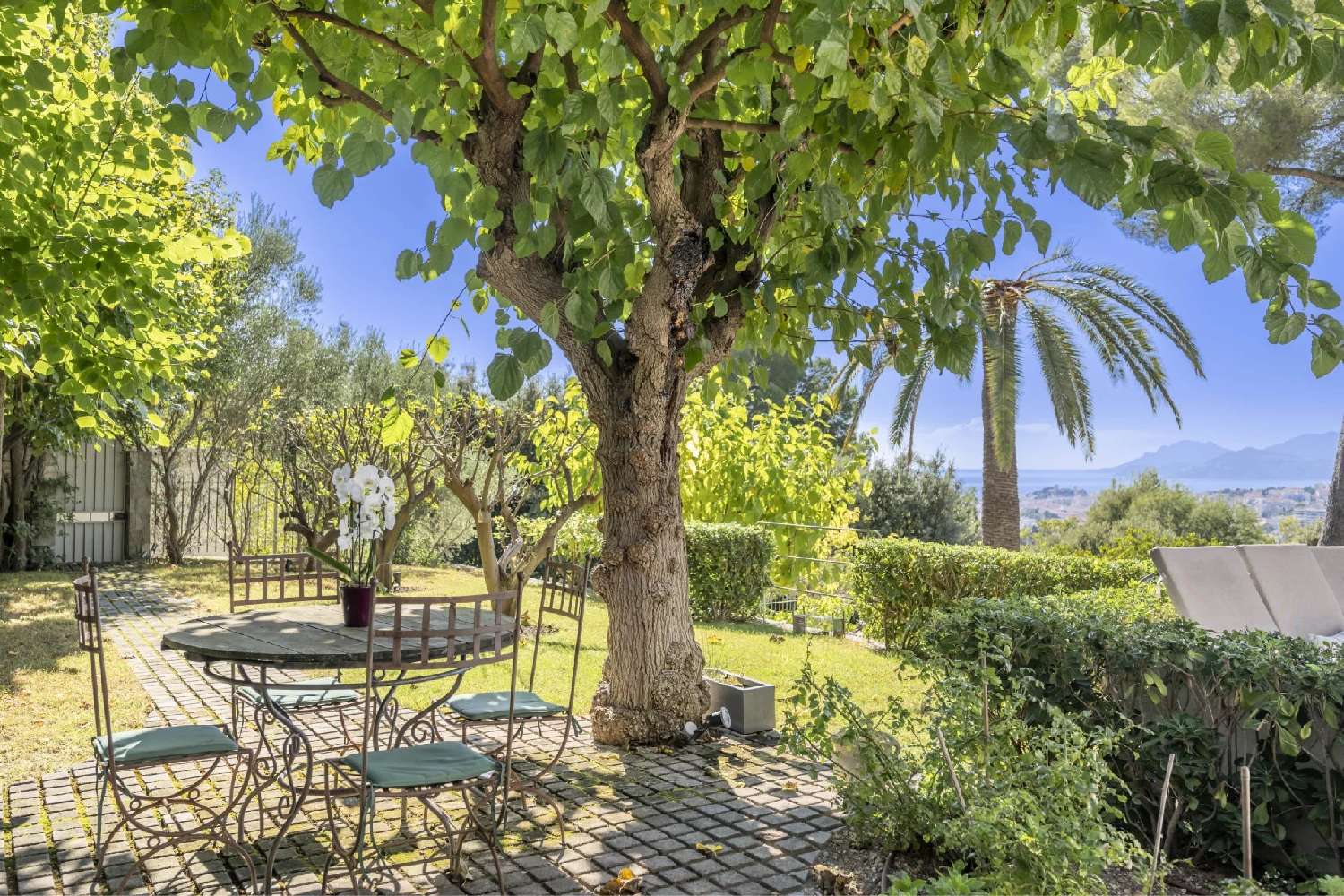  à vendre villa Le Cannet Alpes-Maritimes 4