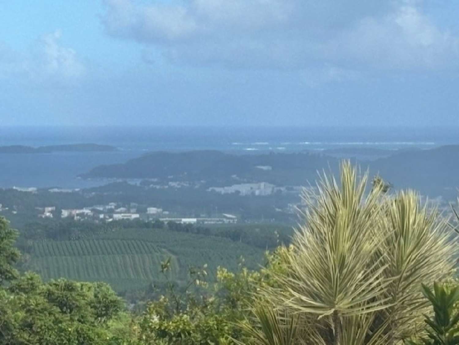  en venta villa Le François Martinique 1