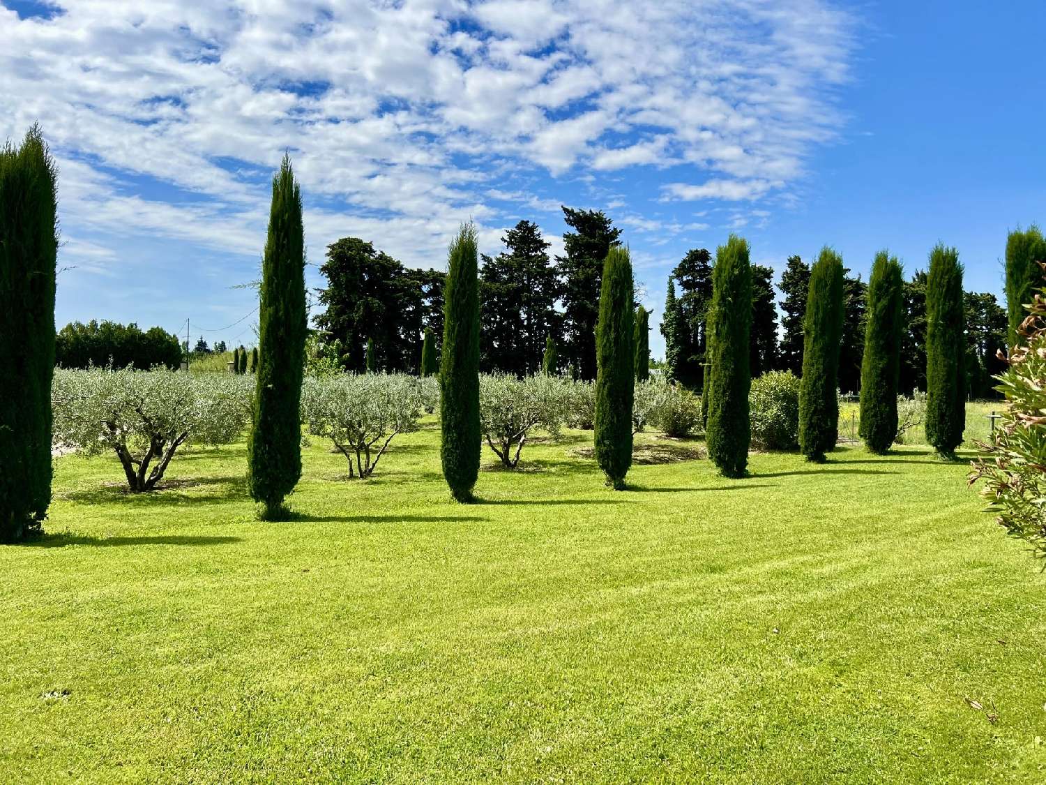 te koop villa Le Pontet Vaucluse 4