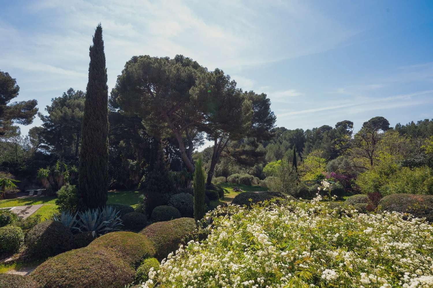  for sale villa Le Pradet Var 7