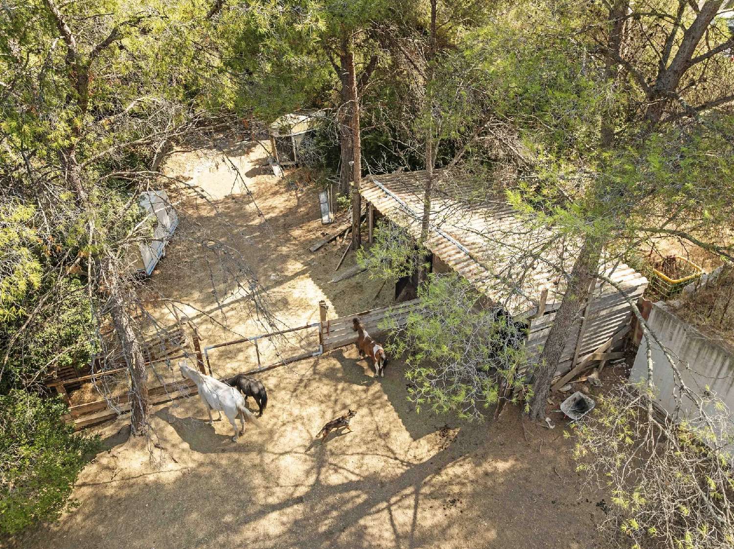  for sale villa Le Pradet Var 1