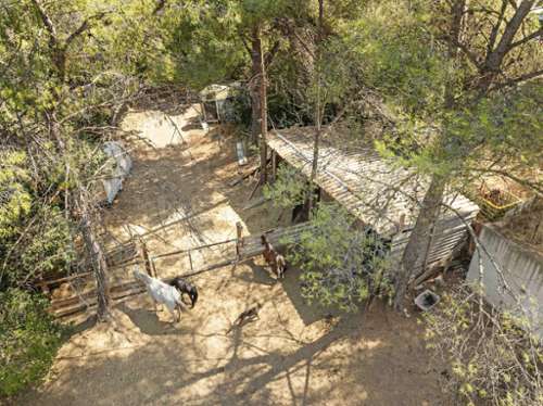 Le Pradet Var villa foto 7308064