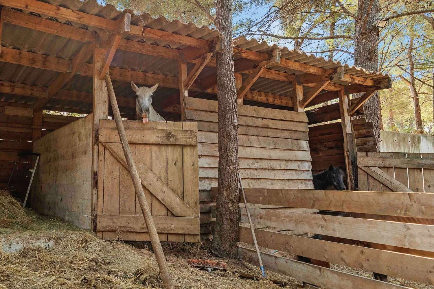  for sale villa Le Pradet Var 2